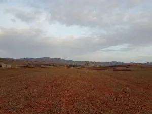 IMG-20170914-WA0010.jpg.jpg