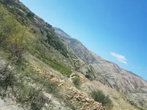 IMG-20170916-WA0003.jpg.jpg
