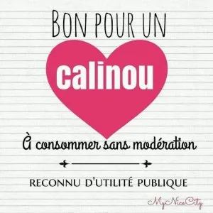 calins_031.jpg