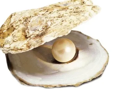 huitre:perle.png