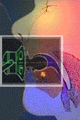 tetine.gif