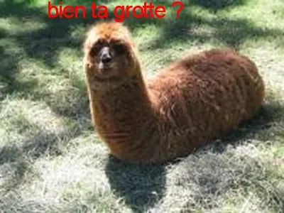 btg.png