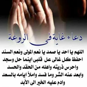 IMG-20180131-WA0001.jpg
