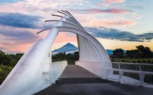 te-rewa-rewa-bridge.jpg