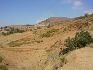 2014-08-15 13.29.09.jpg
