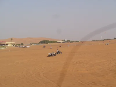 550.JPG