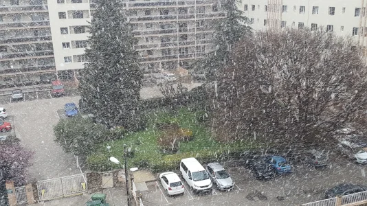 20180226_165416.jpg