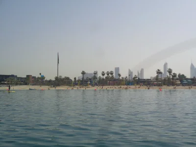 494.JPG
