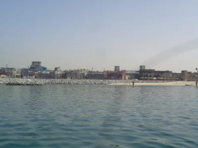 495.JPG