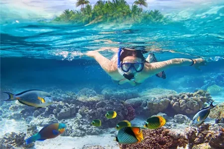 bahamas-vs-caribbean-snorkel.jpg
