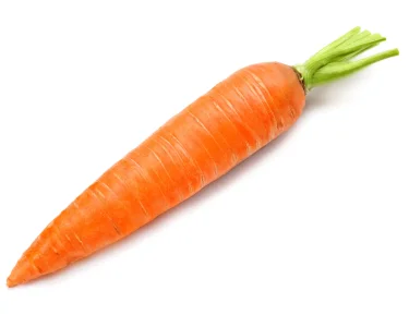 378.jpg