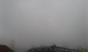 20180317_111301.jpg