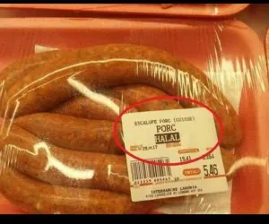 DY4vEWXX4AApjE_.jpg large.jpg