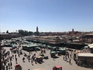 E789F0D1-1D3E-469D-9D96-854A768C36E8.jpeg