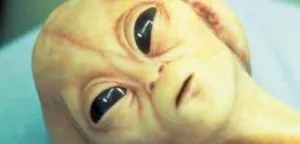 images.jpg