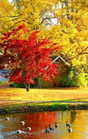 nature5.jpg