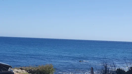 20180401_161731.jpg