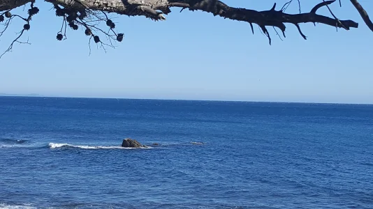 20180401_161727.jpg