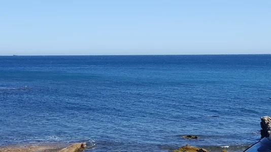 20180401_160501.jpg