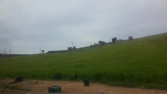 20180413_163358.jpg
