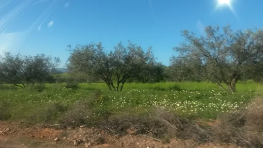 IMG-20180415-WA0114.jpeg