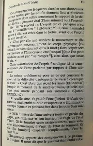 page 41.jpg