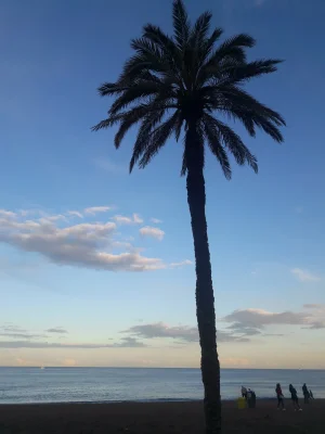20180501_201924.jpg