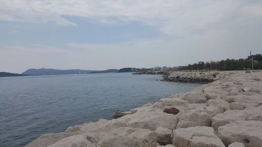 20180506_135732.jpg