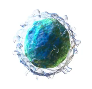 ils-decouvrent-arme-secrete-systeme-immunitaire_width1024.png