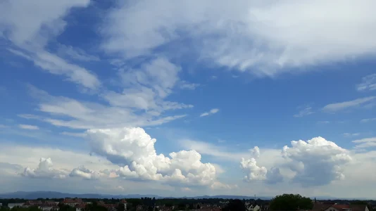 20180521_161326.jpg