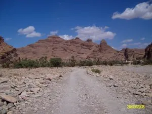 ALIM0615 - Copie.JPG