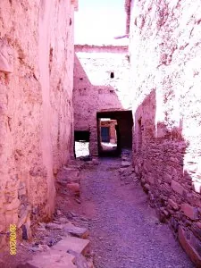 ALIM0619 - Copie.JPG