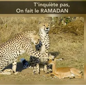 A7EF55D0-F22A-48F6-81F7-6F673ABB752D.jpeg