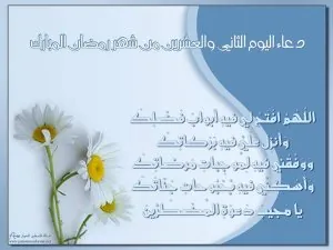 اليوم22.jpg