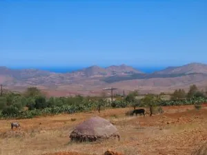 campo.jpg