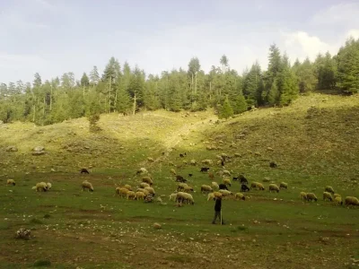 azrou é régions2.jpg