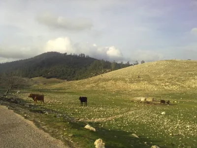 azrou é régions4.jpg