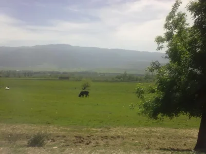 azrou é régions8.jpg
