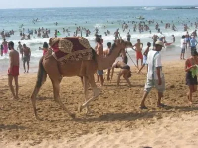 rolbenzaken-vip-blog-com-528751chamaux_plage_moha_galleryfull.jpg
