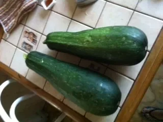 photo.JPG