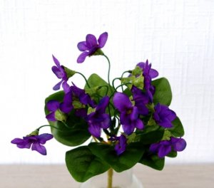 fleurs_de_violettes_artificielles[1].jpg