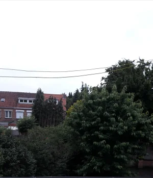 20180619_213014.jpg