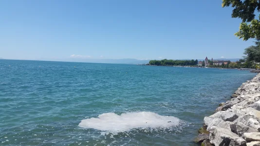 20180619_130131.jpg