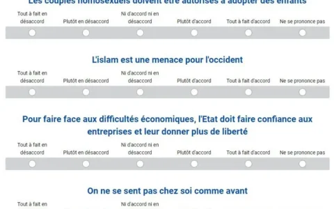 questioNNAIRE LREM.2 pg.jpg