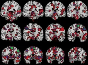 Cerveau-religion.jpg