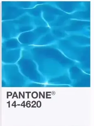9206D9E2-06CE-4C15-9D41-6CCEF224D9BA.jpeg