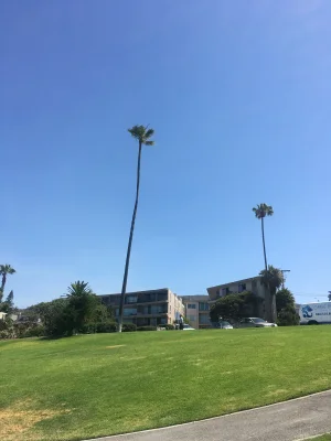 5F6486E9-1831-44C3-A2AC-37E2FCB6FC34.jpeg