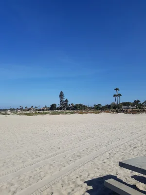 20180507_084917.jpg