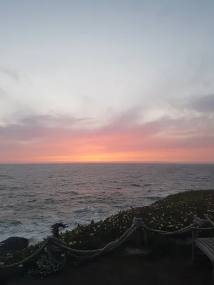 20180509_201645.jpg