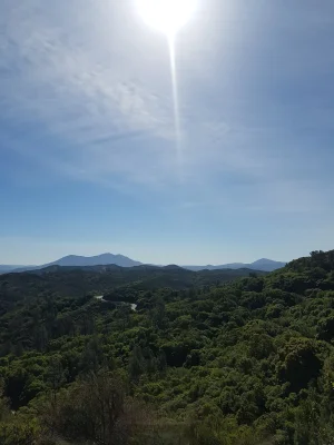 20180511_095242.jpg